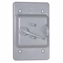 Locking Switch Cover, Non-Metallic, Gray