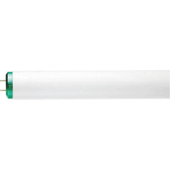 Philips 30W 36 In. Cool White T12 Medium Bi-Pin Fluorescent Tube Light Bulb (2-Pack)