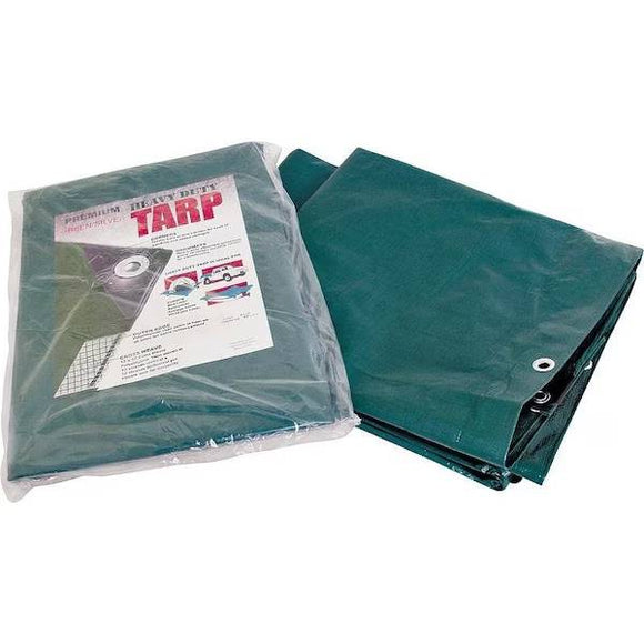 ProSource 20 ft x 40 ft Tarp, Green/Silver